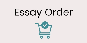 Essay Order Vibepacks Backpack in Bangladesh